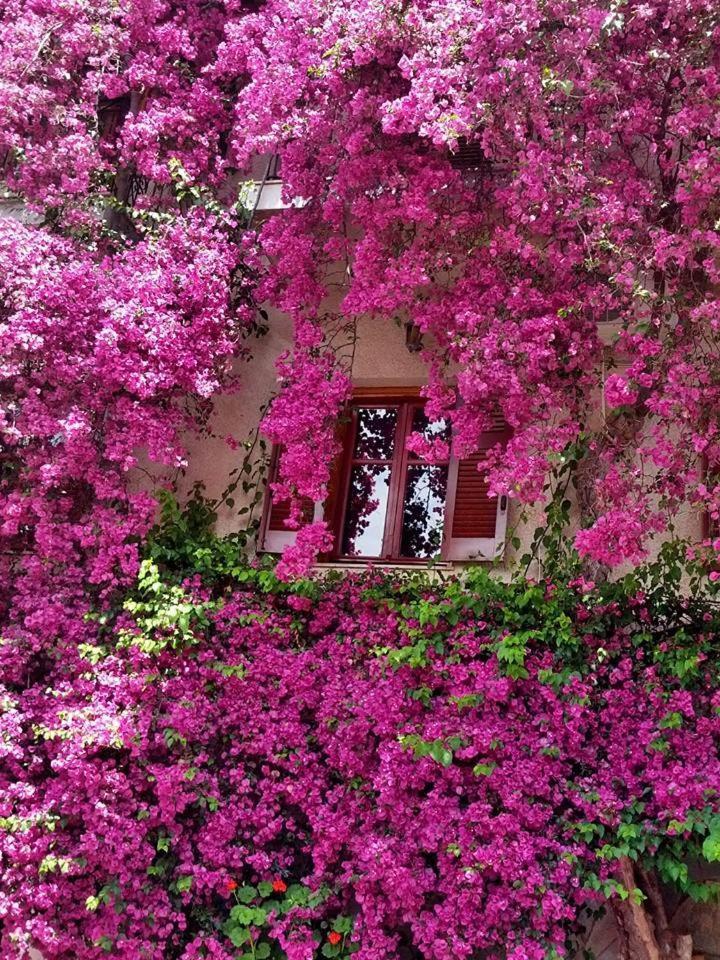 Iliolithos Rooms Kardamyli Exteriér fotografie
